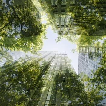 rra-image-banner-sustainability.jpg