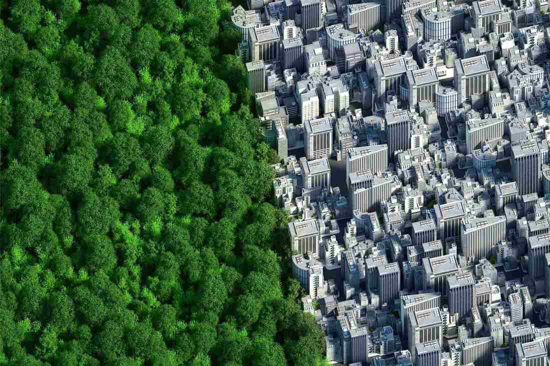 Energy Matters: Event Series - Russell Reynolds Associates