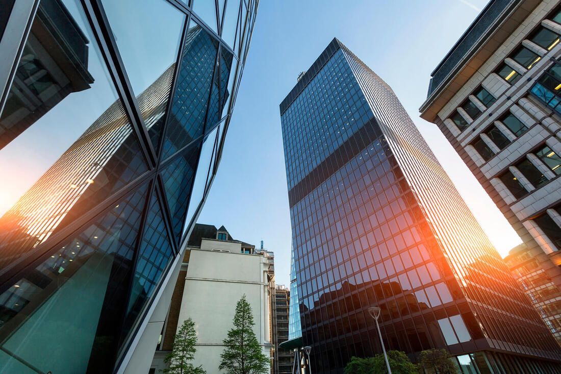 Government Fluency: The Legal Leadership Capability GCs Increasingly ...