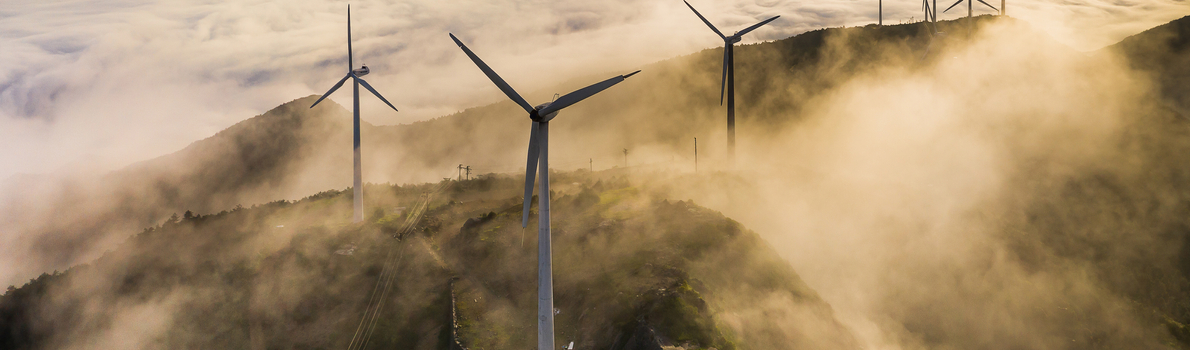 rra-expertise-sustainability.jpg